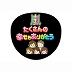 嵐　うちわ　カンペ　ファンサ　ライブ　推し活グッズ