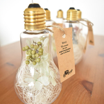 *flower light bulb  - ｸﾞﾘｰﾝﾍﾟｯﾊﾟｰ -