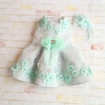 完成品🎶haru-iroドレス　小型犬　Ssize　前開き