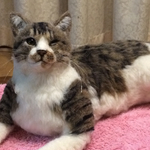 ikucha様専用 水無月ちゃん