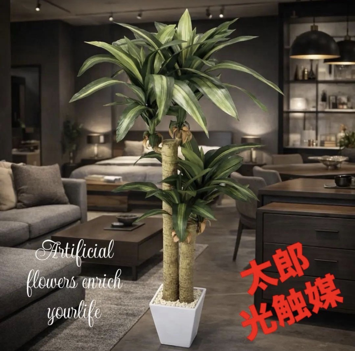 光触媒　人工観葉植物　ウォールグリーン　フェイク　フラワー　幸福の木マッサン 12,600円