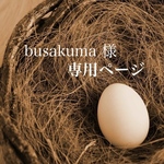 busakuma様専用ページ