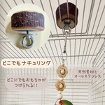 安全で安心☆便利《どこでもナチュリング》 鳥さんのケージお役立ちグッズ／鳥おもちゃ インコおもちゃ