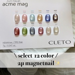 【 select 】マグネットネイル  2μマグネット ✨️ ネイルチップ CLETO