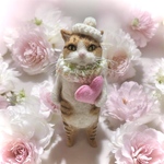 no.429 ハートを届ける猫さん