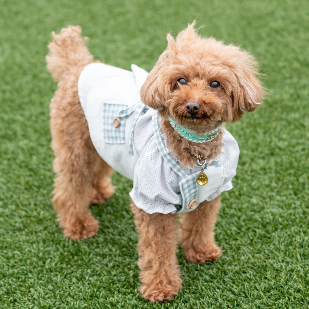 犬服 エプロン デニム×ギンガムチェック エプロンワンピース /小型犬