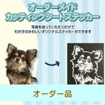 momokiwa1003様専用