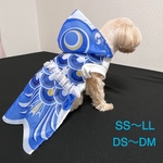 【犬服】鯉のぼり　青　犬鯉のぼり服　端午の節句　初節句　こどもの日