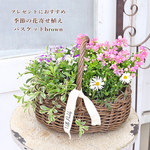 季節の花 寄せ植え おまかせ バスケット オーバルブラウン おしゃれ 母の日 プレゼント ギフト