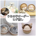 【うちの子ヒゲ刺し】猫の抜けヒゲ保存用／記念に残せる