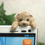 Ｍａｒｉｎ様ご注文品　スマホの上から顔を出した　トイプードル　イヤホンジヤック