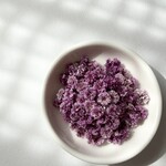 【 D パープル 】かすみ草　ディープカラー　大容量　淡色 中間色　ドライフラワー　染め　国産　高品質　大 中 小サイズ　レジン　ネイル　ハンドメイド　素材　資材　花材