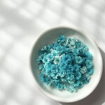 【 D ブルー 】かすみ草　ディープカラー　大容量　淡色 中間色　ドライフラワー　染め　国産　高品質　大 中 小サイズ　レジン　ネイル　ハンドメイド　素材　資材　花材