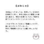 名前入りワッペン　約13×8㎝　大サイズ横　
