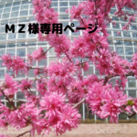 😺ＭＺ様専用ページ