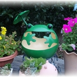 かわいい かえるの睡蓮鉢で めだかを飼って見ませんか(*^ーﾟ)ﾉ
もちろん 玄関先のオブジェにも！ 福かえる♪