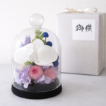 胡蝶蘭のコンパクトなガラスドーム入りお供え花P　丸い千日紅が可憐なプリザーブドフラワー仏花　仏壇　お盆　ミニ　ペットお供