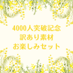 訳あり素材お楽しみセット