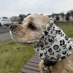 犬用スヌード　黒小花　アメコカ　汚れ防止