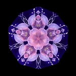 ［完成品］夢宵桜【万華鏡】