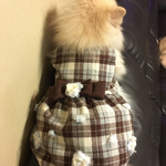 peco-miuraさま専用