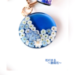花灯まるｼﾘｰｽﾞ✨️蒼霞花💙
