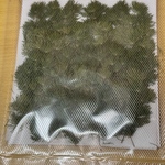 押し花　素材