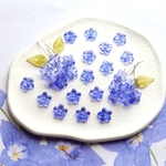 オリジナル作品★10mm 桔梗　すみれ　ペンタス　お花のガラスパーツ　パープルブルー