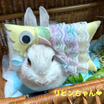 鯉のぼり被り物🎏カラフル