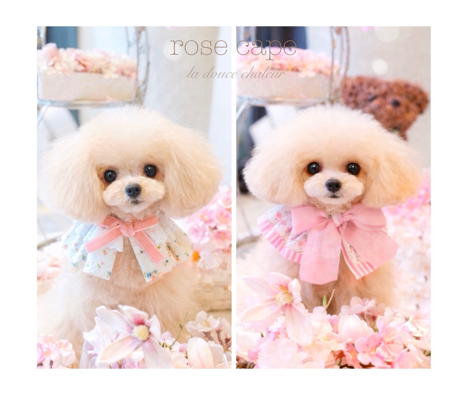 NEW】ミモザのケープ 犬 ビブ 犬服 ミモザ イエロー - miy444 GALLERY