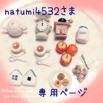 ☆matumi4532様 専用ページ☆ オーダーミニチュアパーツ