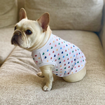 犬服　接触冷感　フレブル服　パグ服　