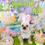 oonene様専用ページ♡