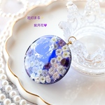 花灯まるｼﾘｰｽﾞ✨️紫月花💜