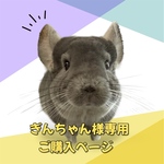 ぎんちゃん様専用うちの子お名前プレート購入ページ
