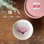 盃　満開-full bloom-　梅-ume-　冷感