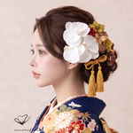 凛とした胡蝶蘭髪飾り❤︎グリーン　振袖　成人式　ヘアドレス　ヘアパーツ　プリザーブドフラワー　ドライフラワーフラワー