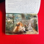 名画透明栞　ベルト・モリゾ【ベランダにて】印象派絵画