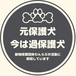 チャリティ缶バッジ(黒)
