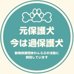 チャリティ缶バッジ(青緑)