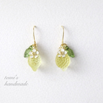◻︎フロスト◻︎檸檬ピアス🍋