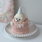 【うちの子誕生日】ビションケーキキャンドル
