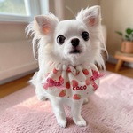 いちごちゃん cape ♡ 大人気バブみケープから新デザイン登場 ♡