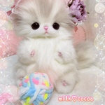 ☆*:.｡. milkcocoa .｡.:*☆ふわふわもふもふ☆チンチラシルバー☆ベビーねこちゃん☆テディベア　ぬいぐるみ