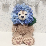 犬用❤︎顔出しシリーズ❤︎紫陽花2026ver.