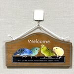 ウェルカムプレート　サザナミインコ