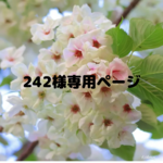 😺242様専用ページ