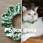 猫首輪《S》ポルカドット アップルグリーン