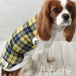 犬服 セミオーダー｜マドラスチェック｜春夏コットン｜小型犬用タンクトップ｜イエロー×ブルー