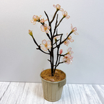🌸この春をずっと。｜桜  アメリカンフラワー  インテリア